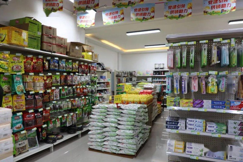 国内贸易选购指南：轻松打开市场大门